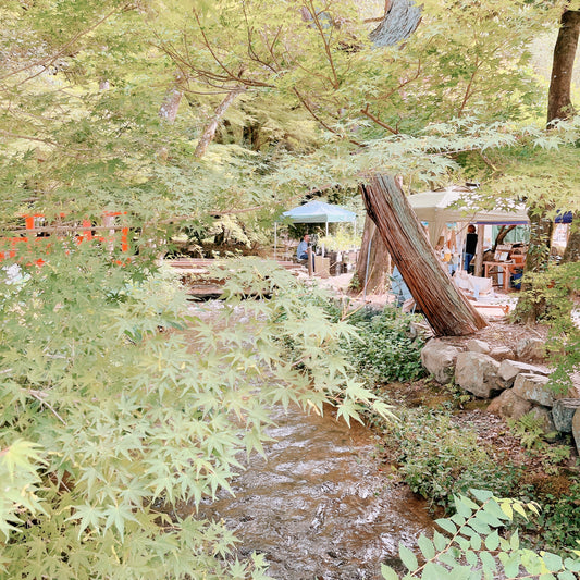 上賀茂手づくり市(2024.8.25)